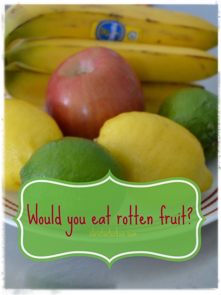 would-you-eat-rotten-fruit-christa-sterken