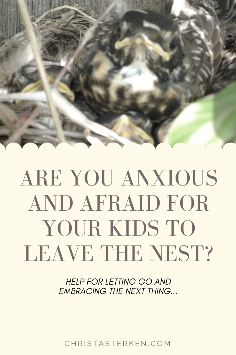 empty nest syndrome quotes