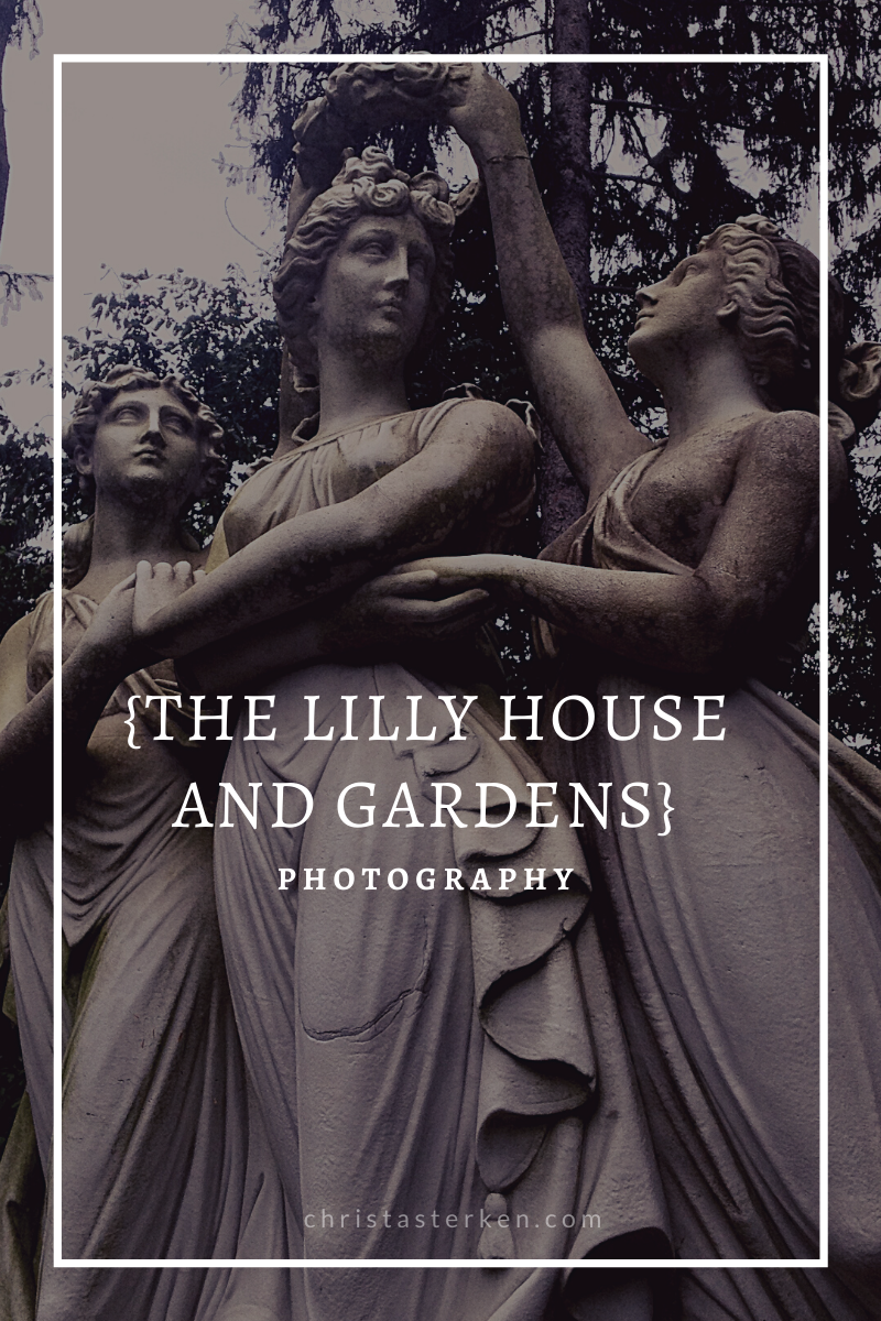 Photography  The Lilly House Gardens 