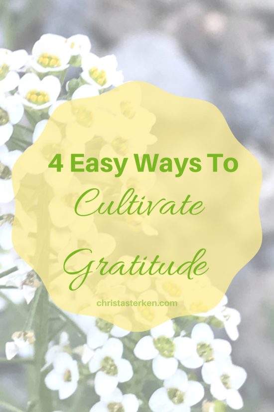 4 Easy Ways To Cultivate Gratitude