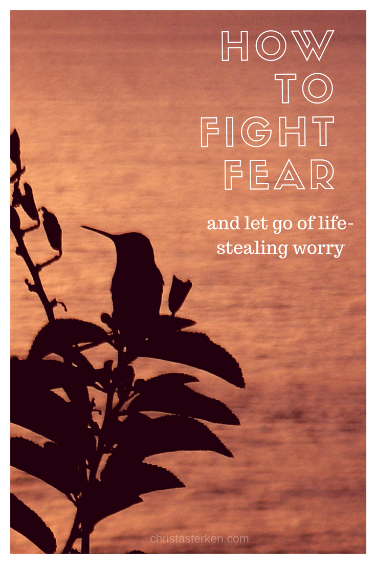 How To Fight Fear And Win! How To Fight Fear And Win!