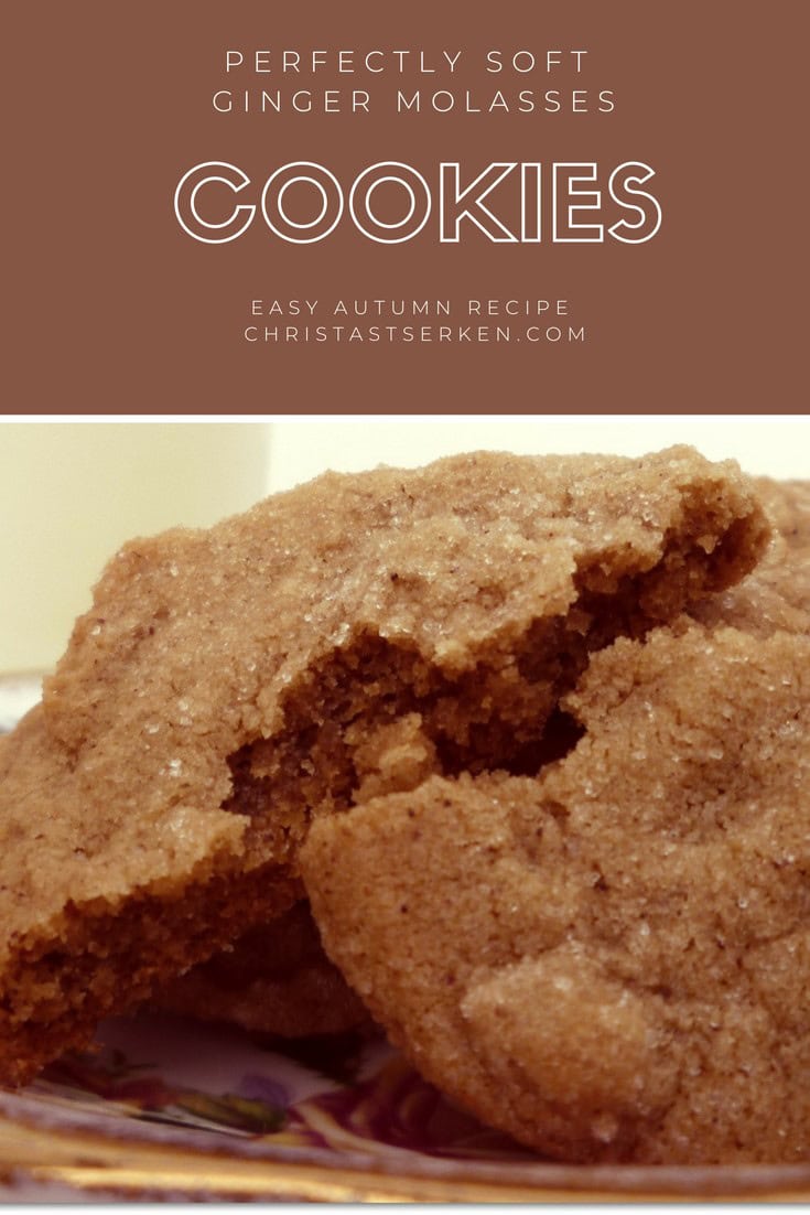 The BEST Soft Ginger Molasses Cookies (printable recipe)